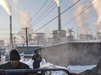 Saria claims economic turnaround